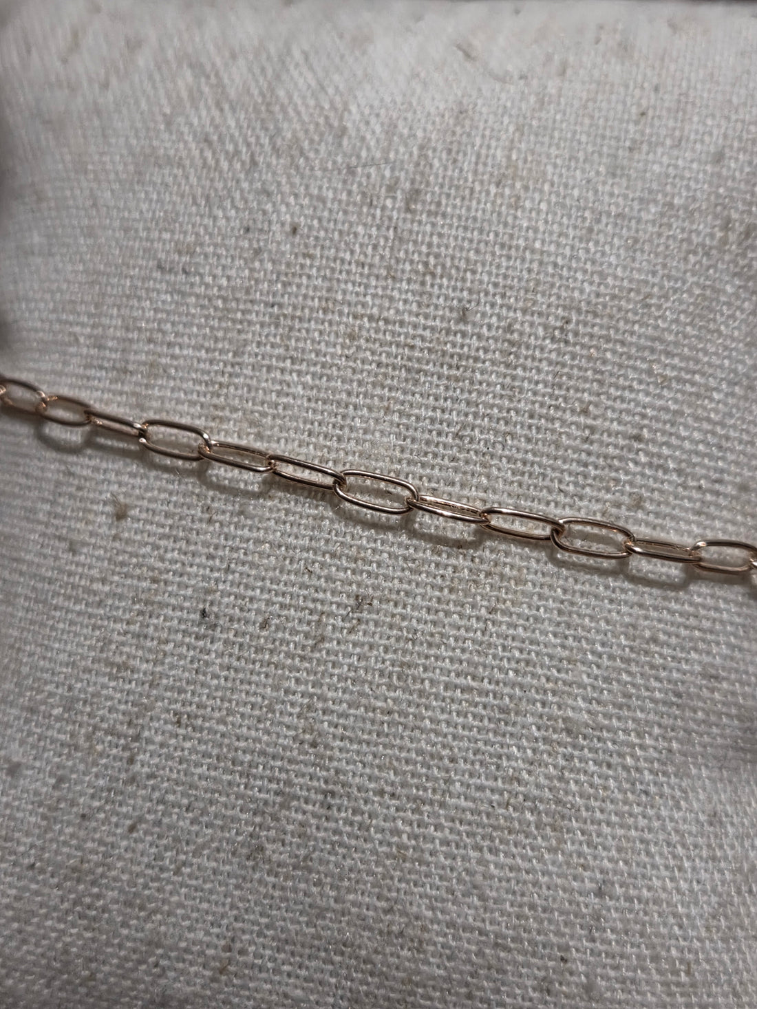 Paperclip Anklet